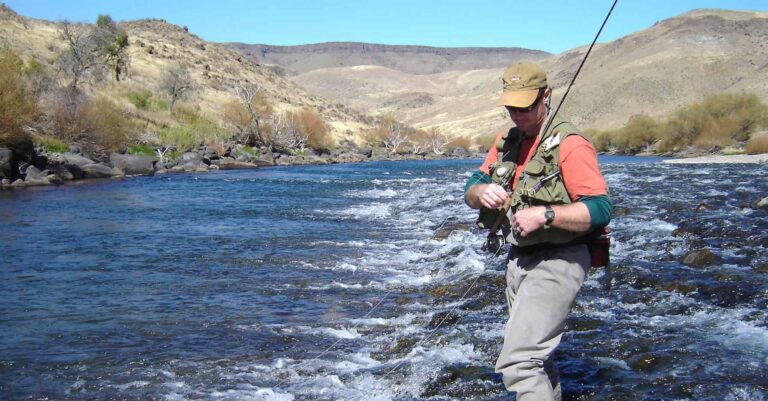 0001000340985Home 3 768x401