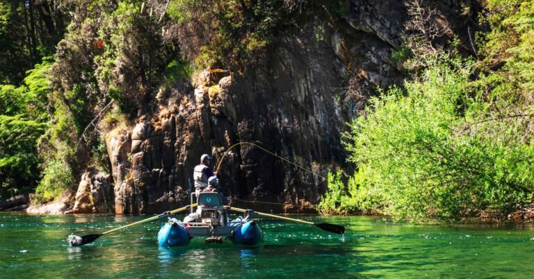 0001000440821Home 4 768x401