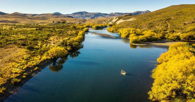 0001000540812Home 2 768x401