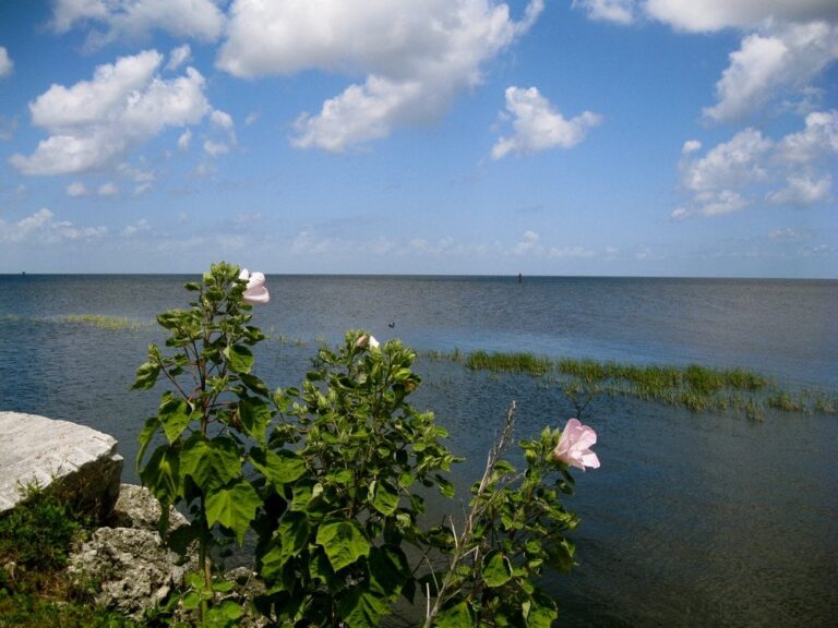 lake okeechobee okeechobee lake okeechobee okeechobee