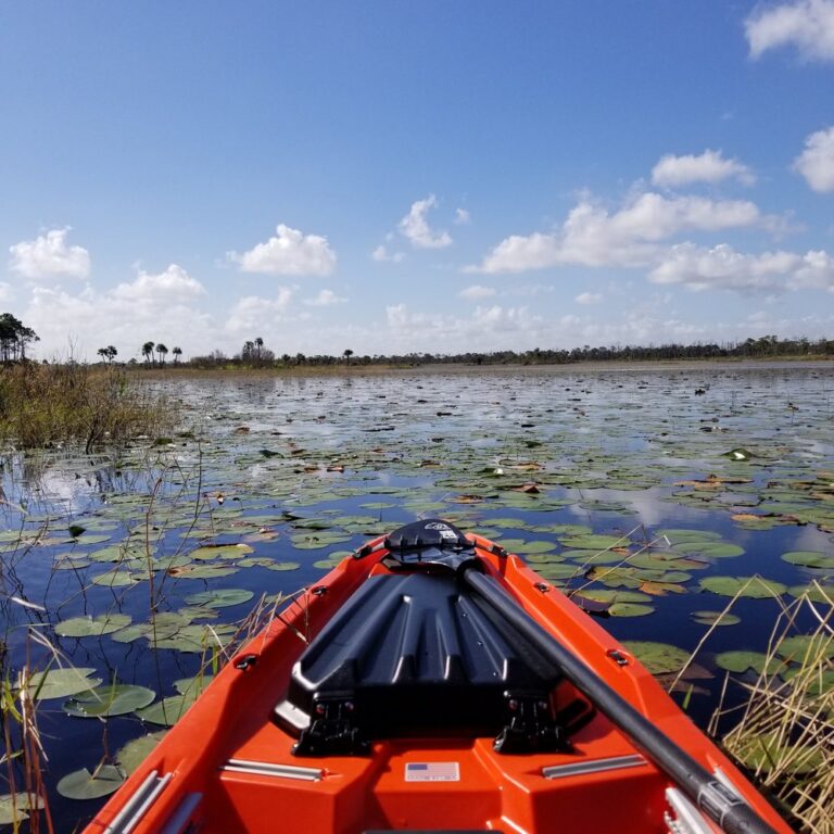 native water sports jensen beach native water sports jensen beach