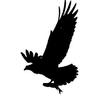 nativekayaklogo