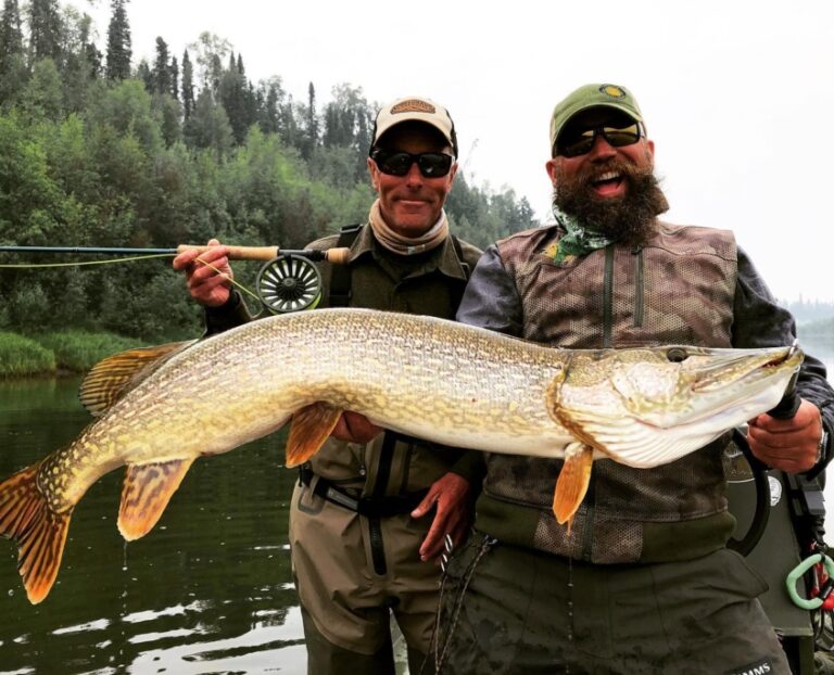 alaskan1 768x622