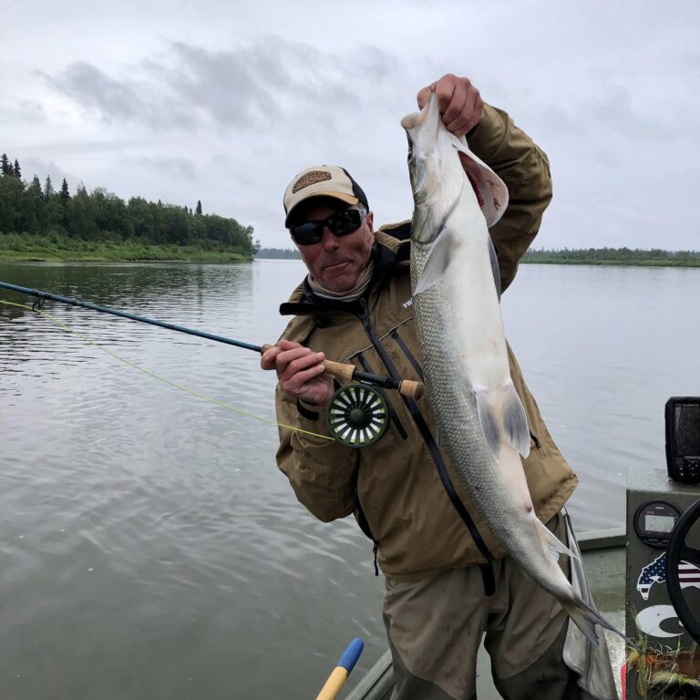 alaskan2 768x768