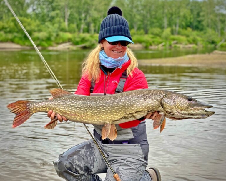 alaskan3 768x614