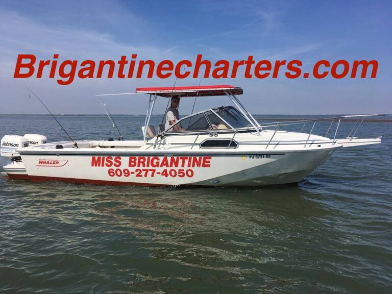 brigantinecharters2 768x576