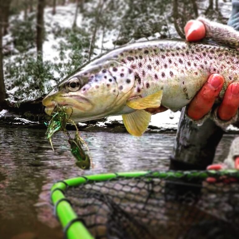 catchcam3 768x768