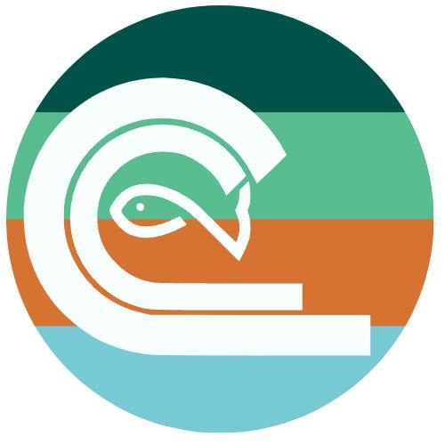 catchflologo