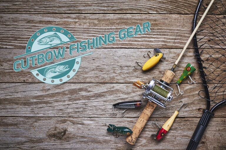 cutbow1 768x511