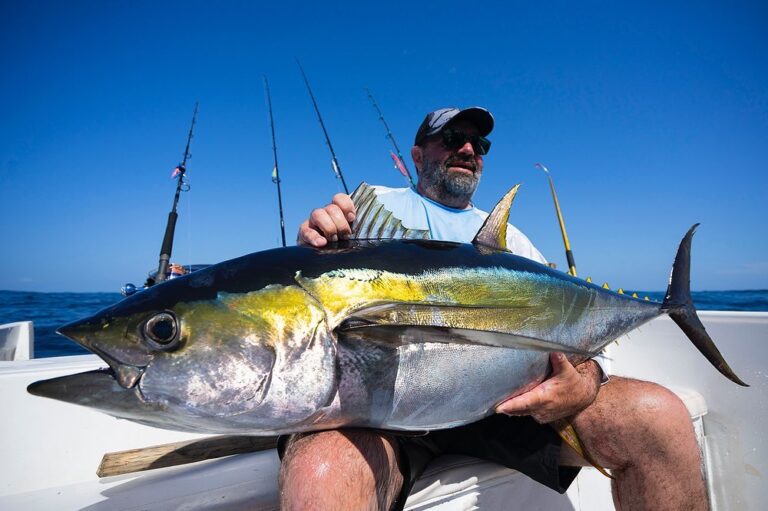 fishcolombia3 768x511