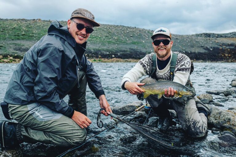 fishpartner2 768x512
