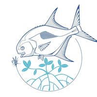 fishxchangelogo