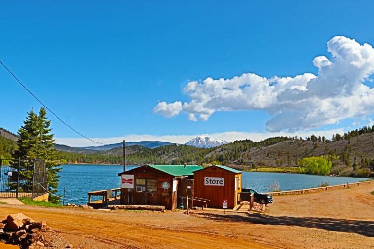 Lake View Store 768x512