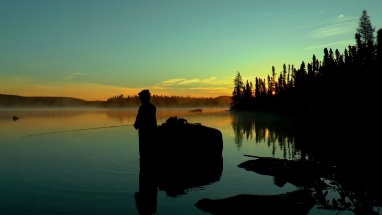 igloolodge2 768x432