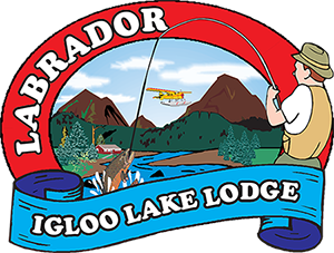 igloolodgelogo