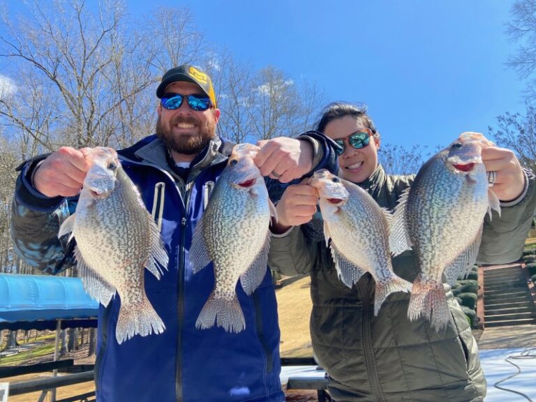 Fishing Guides 768x576